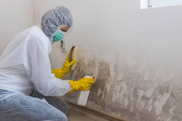 Asbestos and Lead Testing During Mold Inspection in Haskell, AR